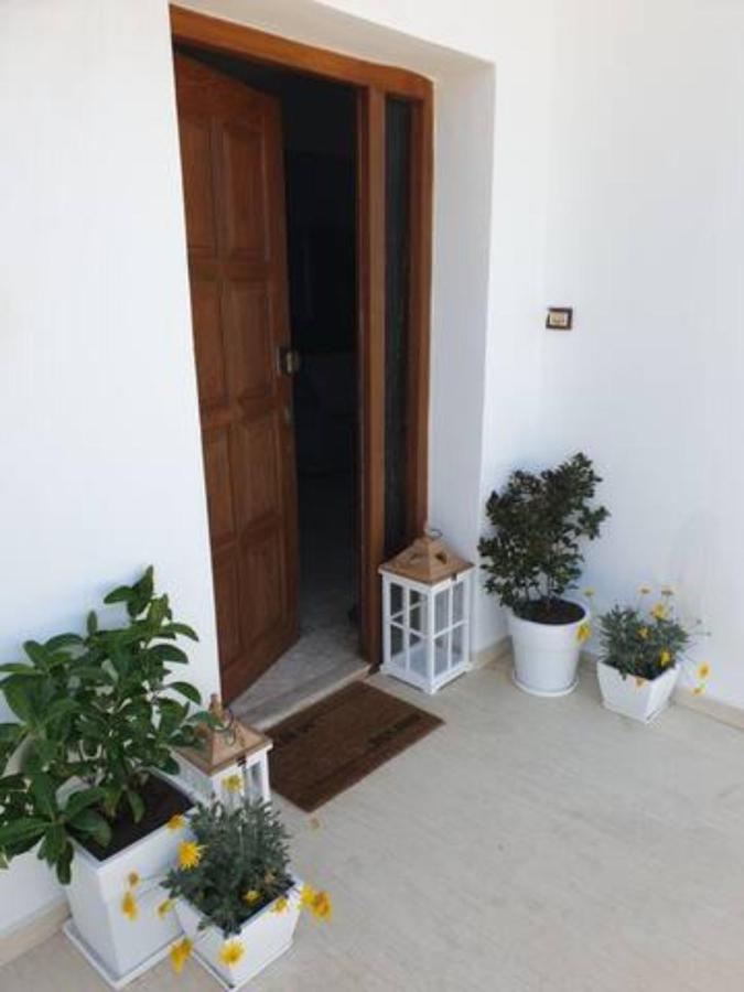 Palaikastro Holiday Apartment Sitia (Crete) Exterior foto